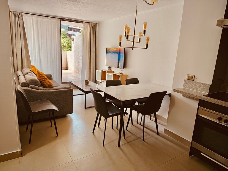 Luxury Providencia 305