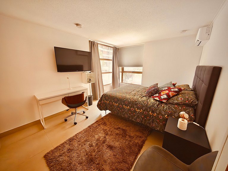 Luxury Providencia 305