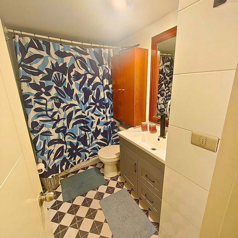 Lastarria Loft