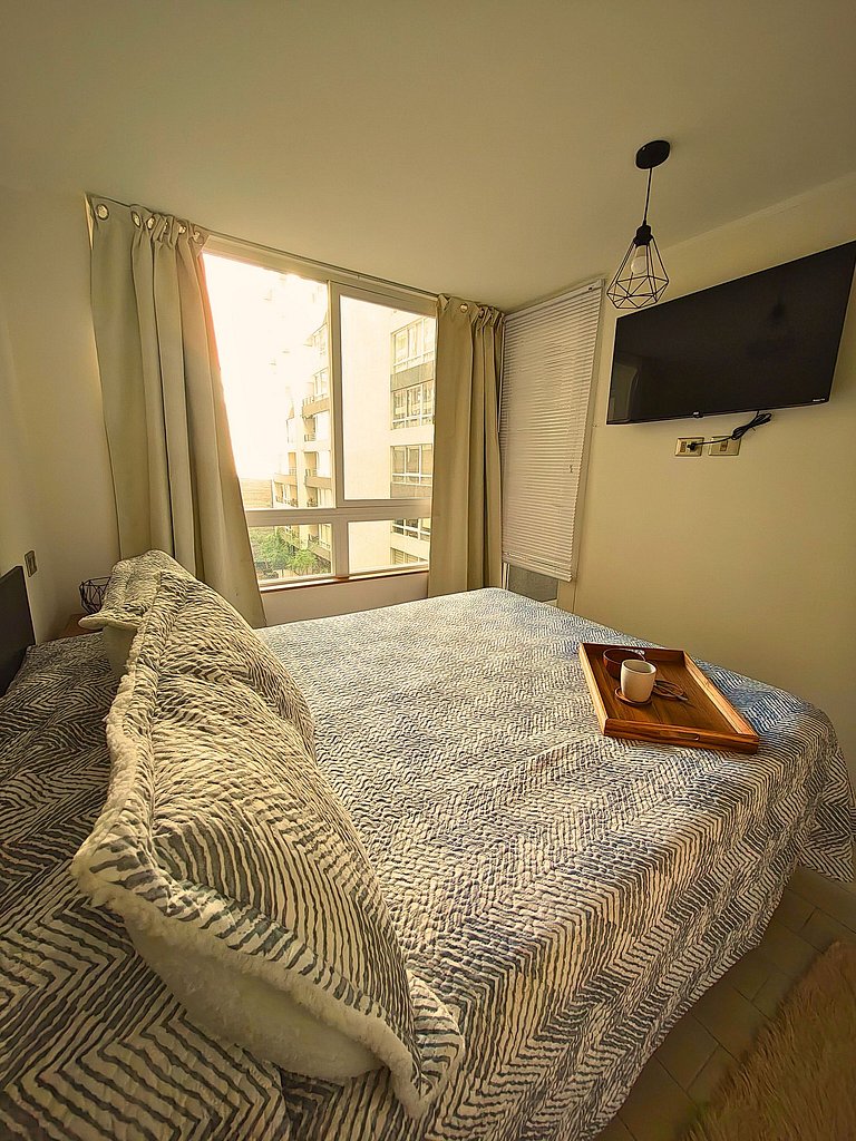 Pleno Centro 1/D sofa cama